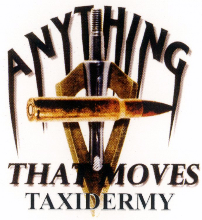 Anything That Moves Taxidermy