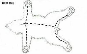 Bear Rug