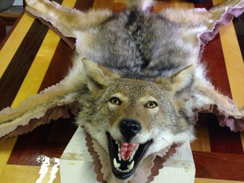 Wolf Rug